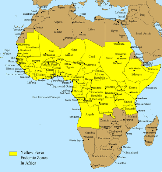 zambia-sa-scraps-yellow-fever-requirement-for-zambia