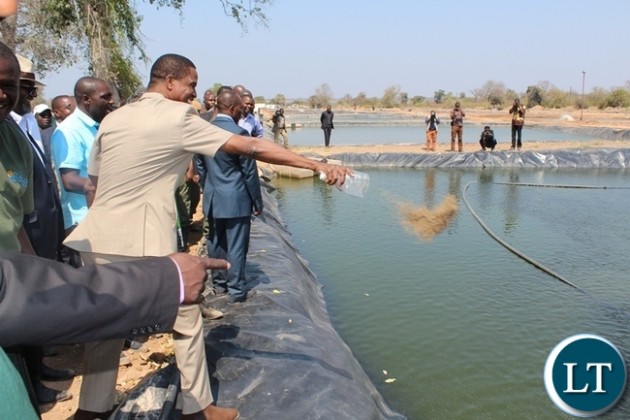 zambia-31-households-trained-in-fish-farming