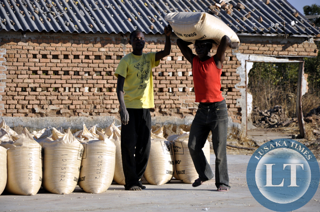 Zambia : Food Reserve Agency sets Maize price at K65 per 50kg