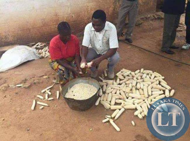 Zambia : UPND President Hakainde Hichilema on agriculture