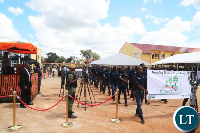 Zambia : The plant a million trees initiative in pictures